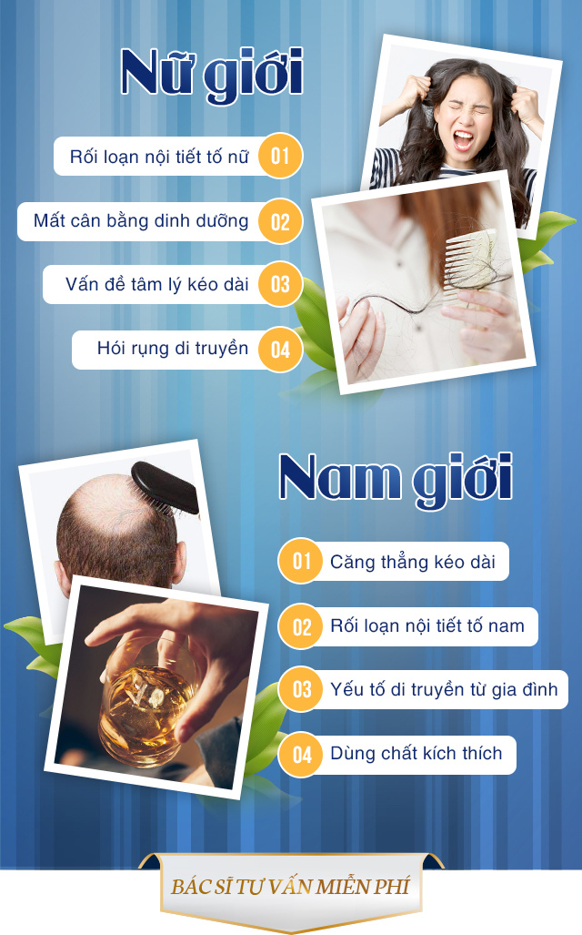 nguyên nhân gây rụng tóc hói đầu